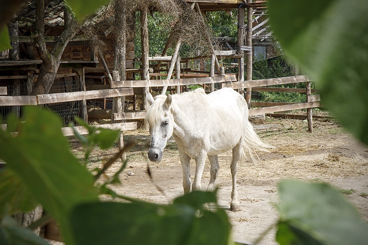 A Better World: Photography and Charity