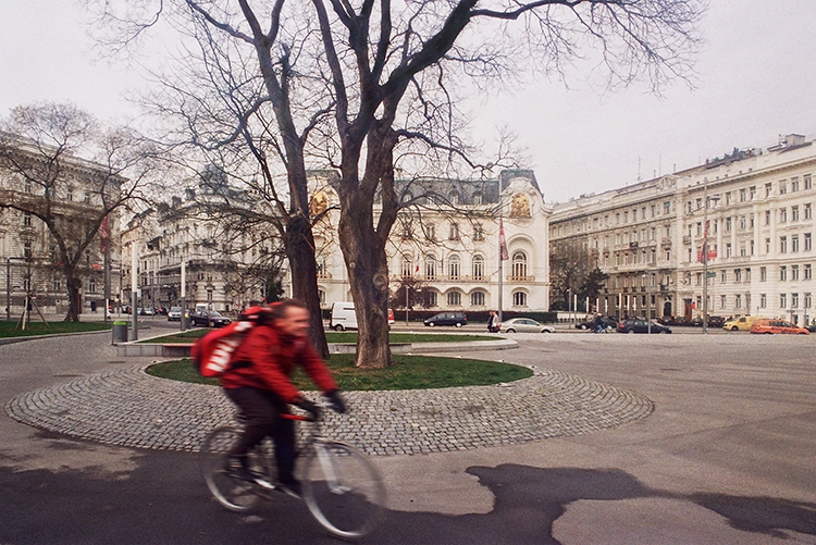 Copyright by Sanja Veljković