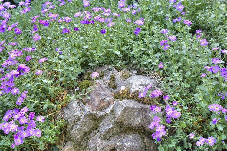 Dizajn na svakom koraku: fotografija i priroda