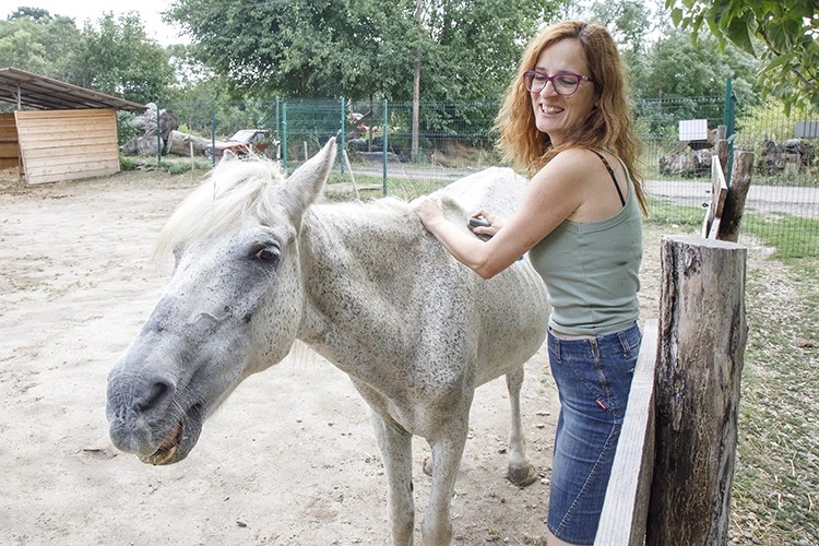 Copyright by Sanja Veljković