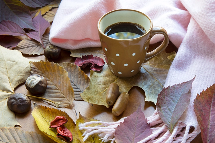 Dnevnik jednog fotografa: dinamičan jesenji poslovni portret