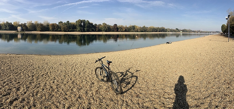 Copyright by Sanja Veljković