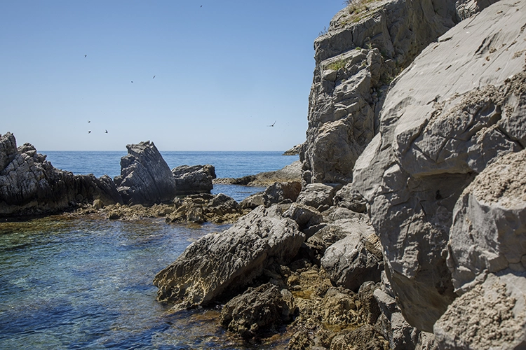 Copyright by Sanja Veljković