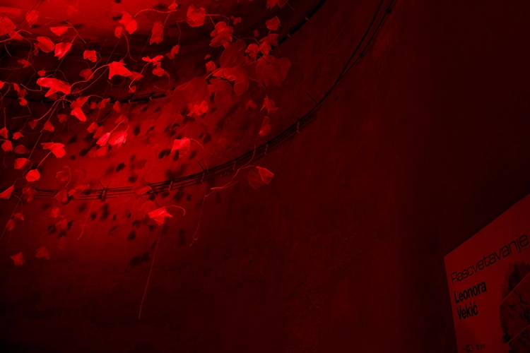 Copyright by Sanja Veljković