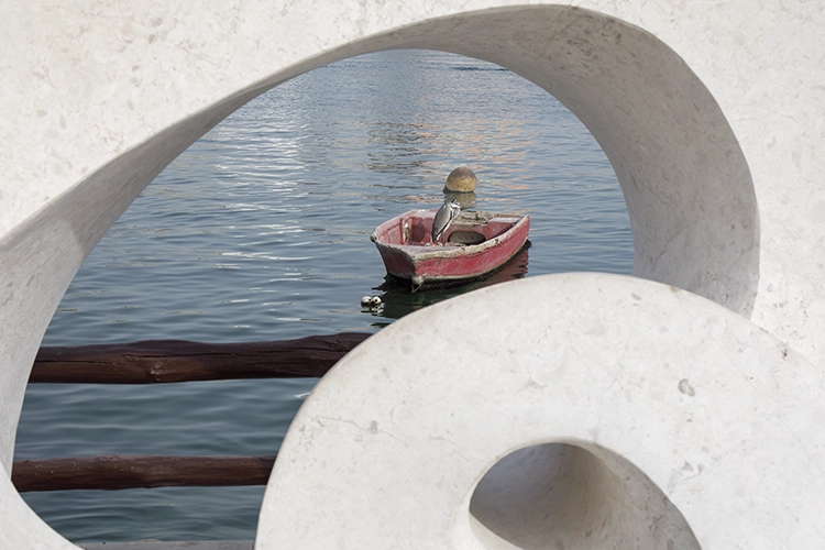 Copyright by Sanja Veljković