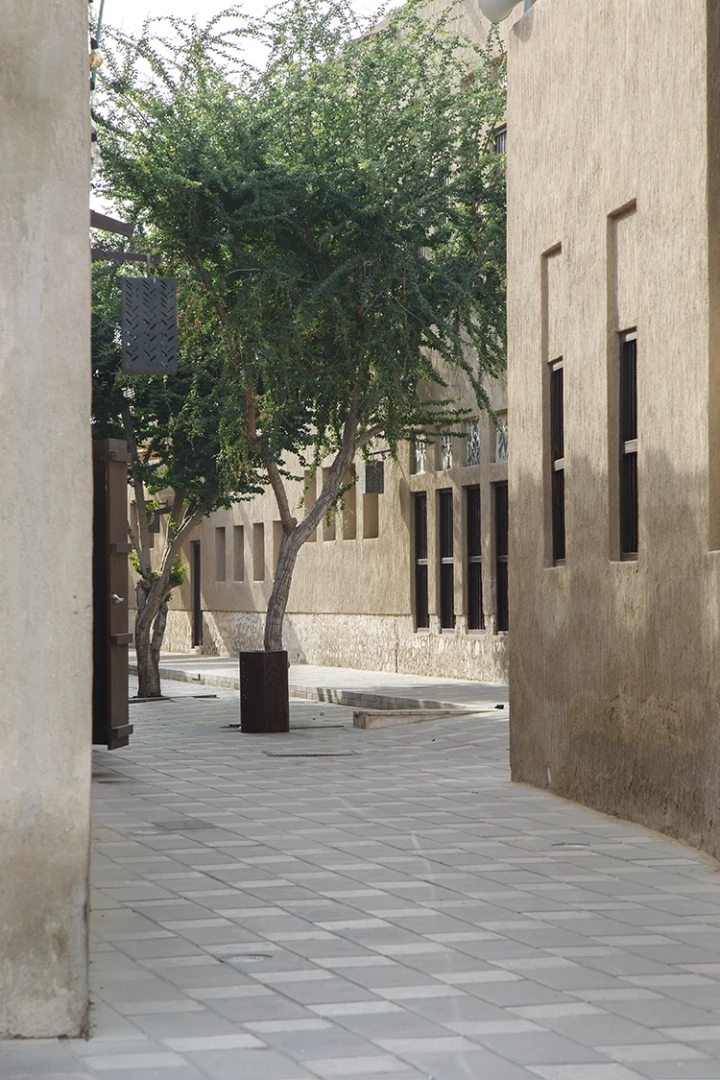 Copyright by Sanja Veljković