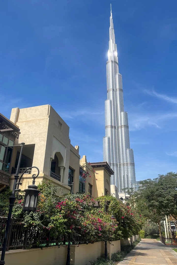 Copyright by Sanja Veljković