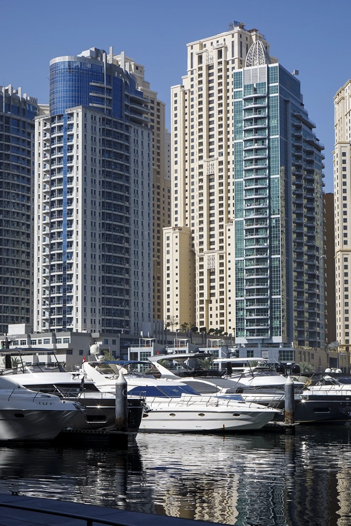 Copyright by Sanja Veljković