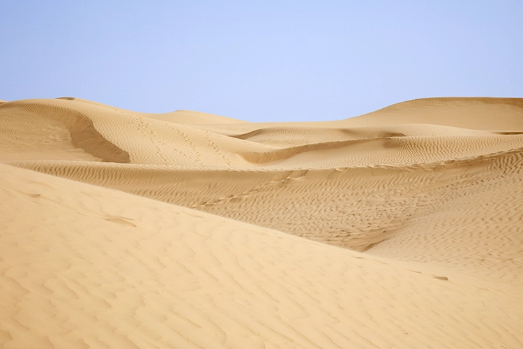 Copyright by Sanja Veljković