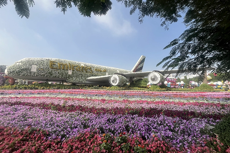 Copyright by Sanja Veljković