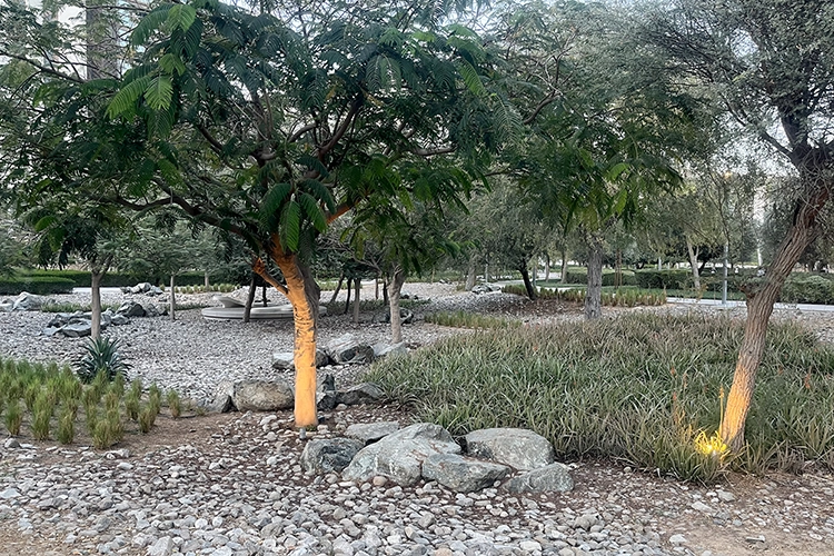 Copyright by Sanja Veljković