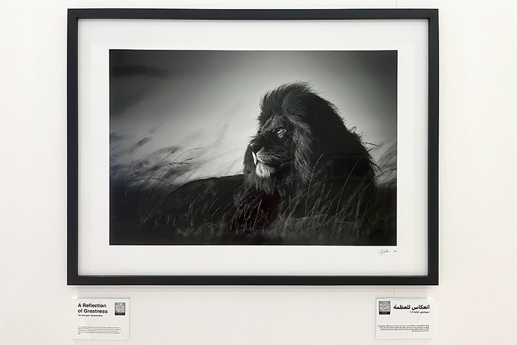 Copyright by Sanja Veljković