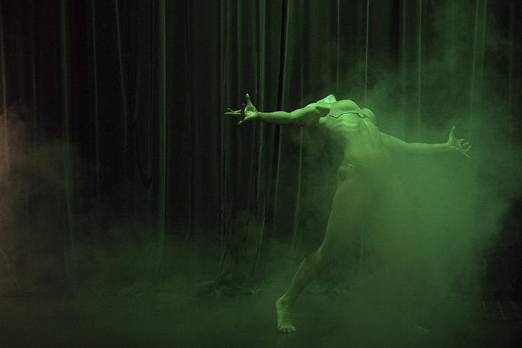 Copyright by Sanja Veljković