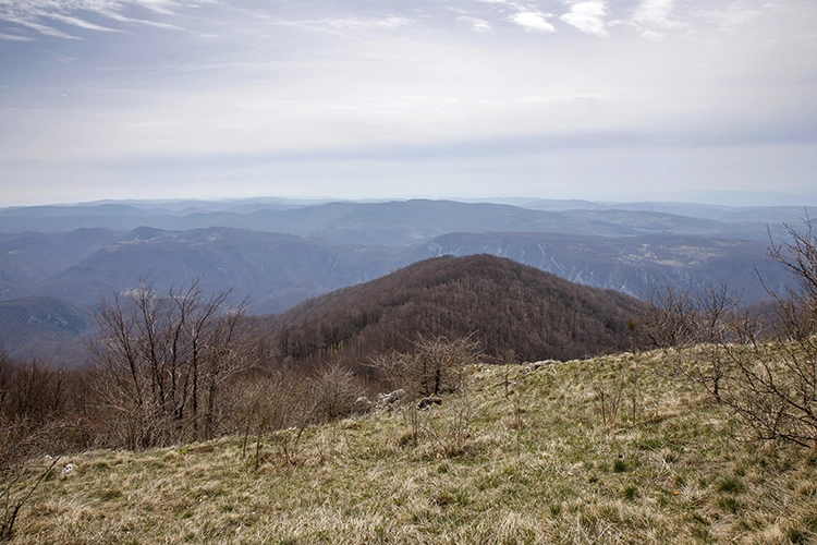 Copyright by Sanja Veljkovic