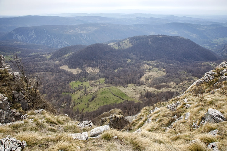 Copyright by Sanja Veljkovic