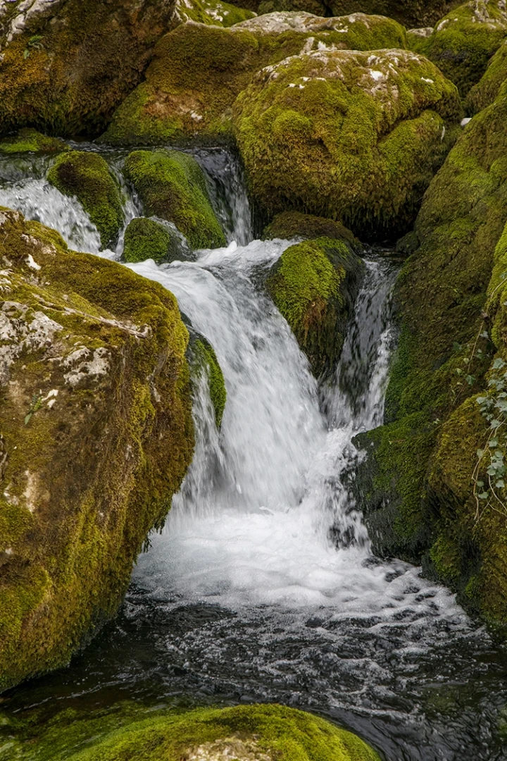 Copyright by Sanja Veljkovic