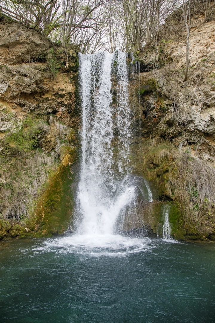 Copyright by Sanja Veljkovic