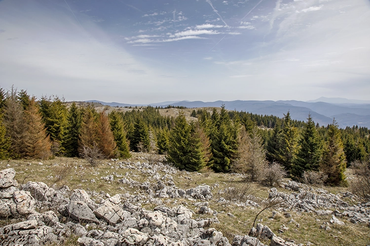 The Most Beautiful Training: Landscape Photography