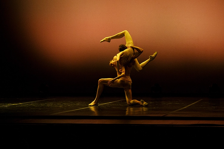 Copyright by Sanja Veljković