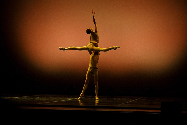 Copyright by Sanja Veljković