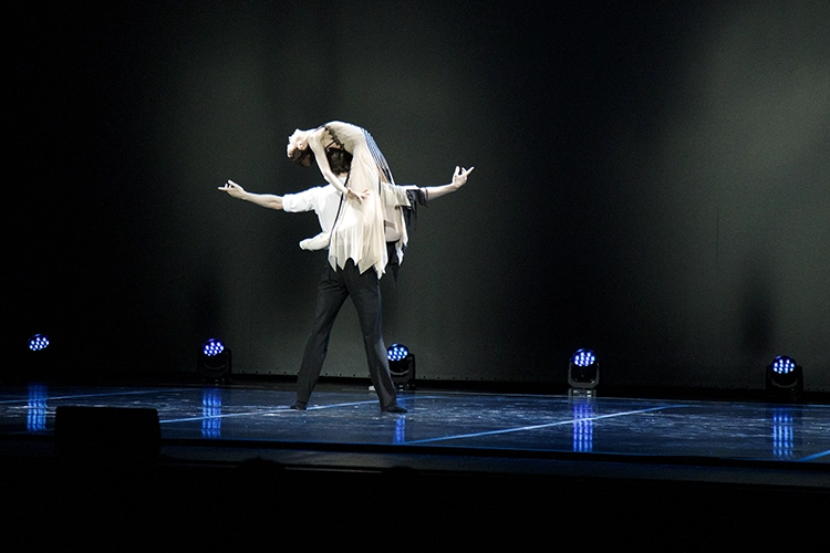 Copyright by Sanja Veljković