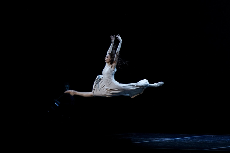 Copyright by Sanja Veljković