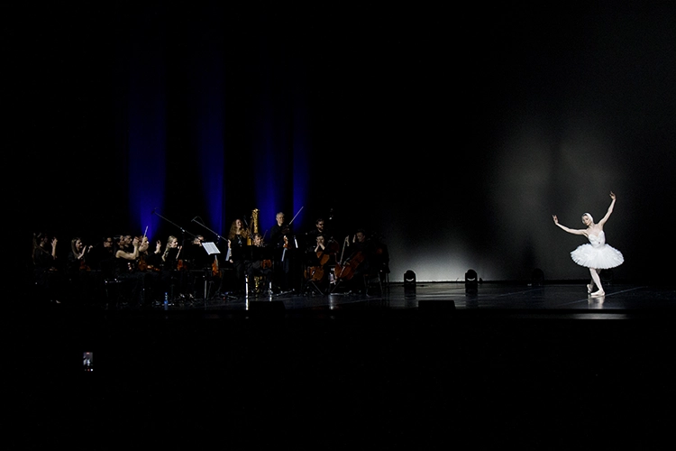 Copyright by Sanja Veljković