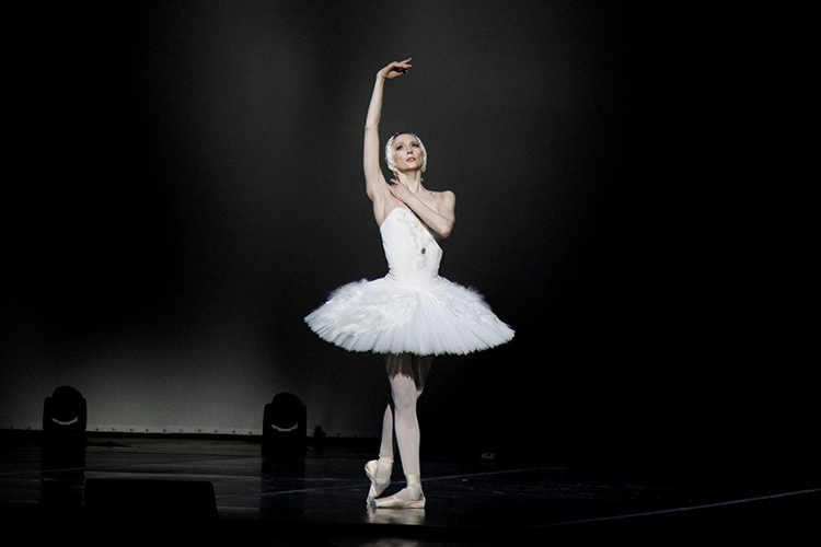 Copyright by Sanja Veljković