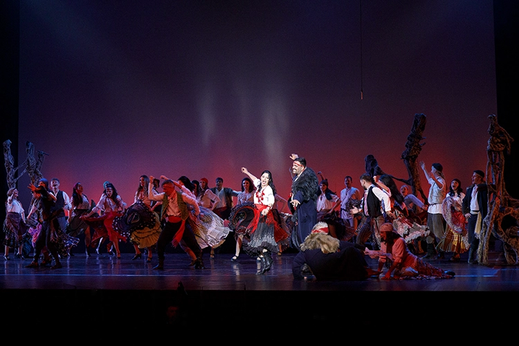 Copyright by Sanja Veljković