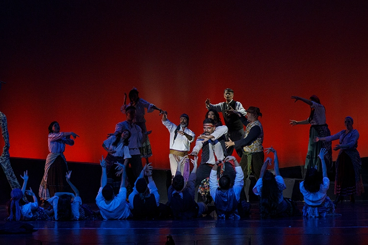 Copyright by Sanja Veljković