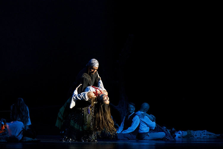 Copyright by Sanja Veljković