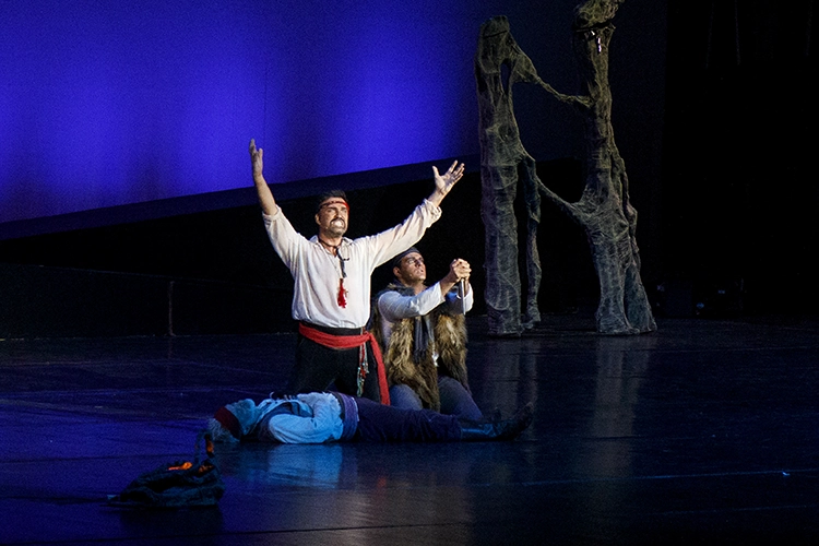 Copyright by Sanja Veljković