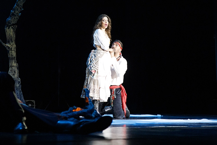 Copyright by Sanja Veljković