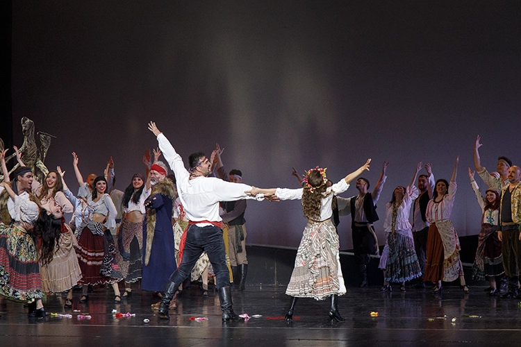 Copyright by Sanja Veljković