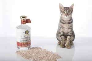 Advertising Photography